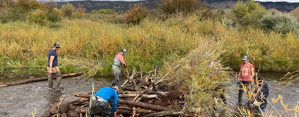 Volunteers work together to build low tech structure in creek