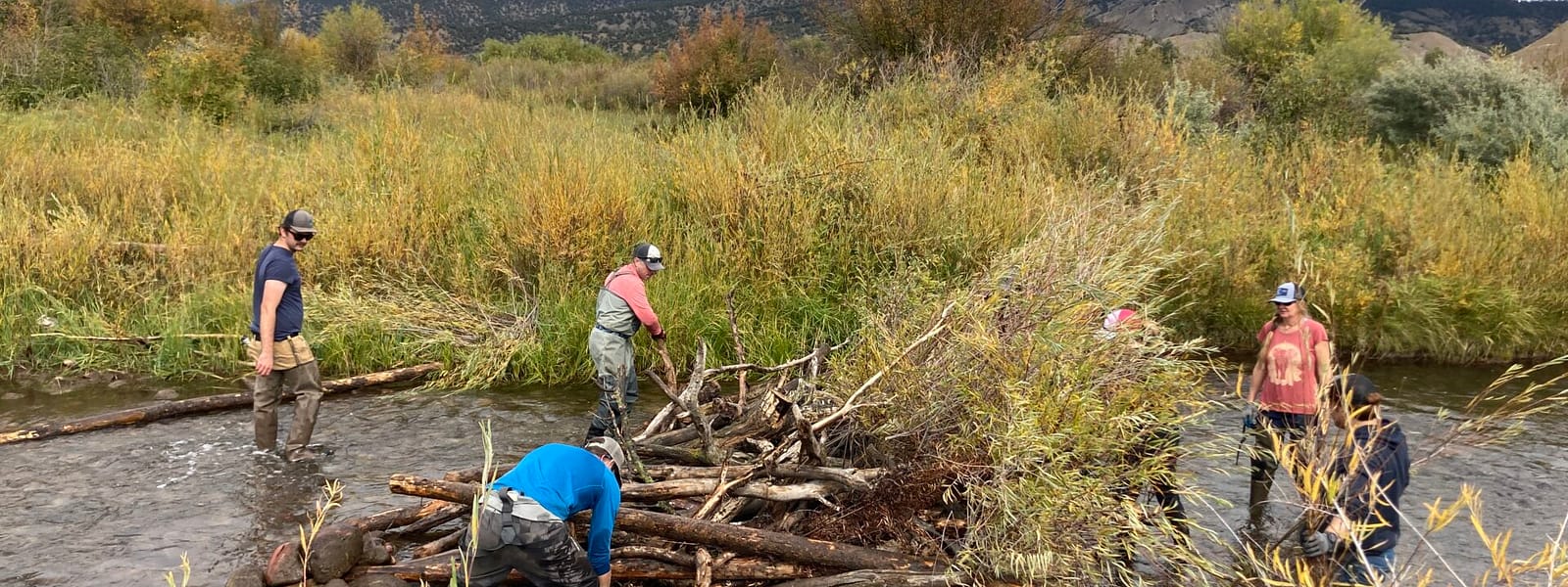 Volunteers work together to build low tech structure in creek