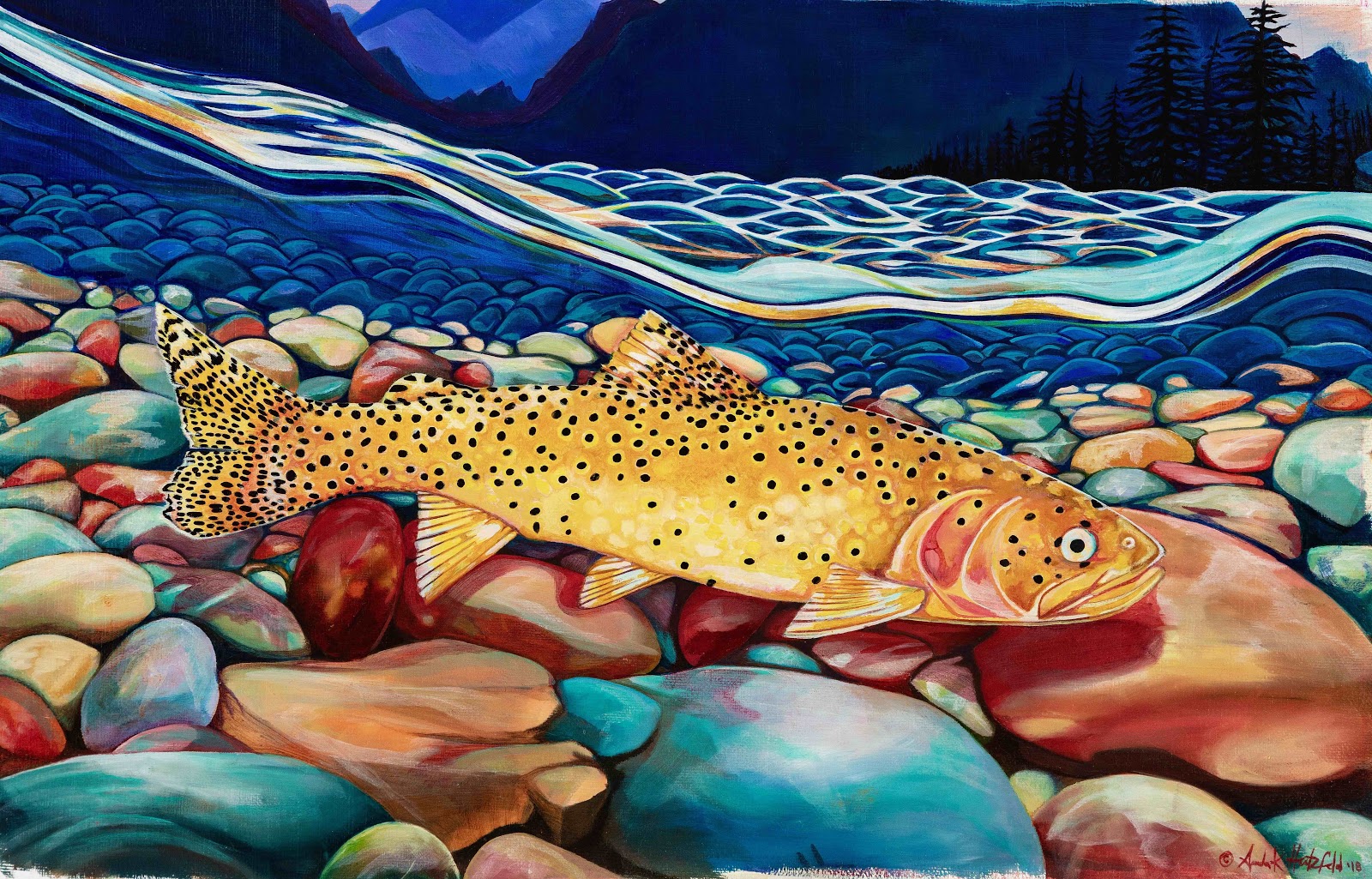 Painting of a cutthroat trout swimming in a stream
